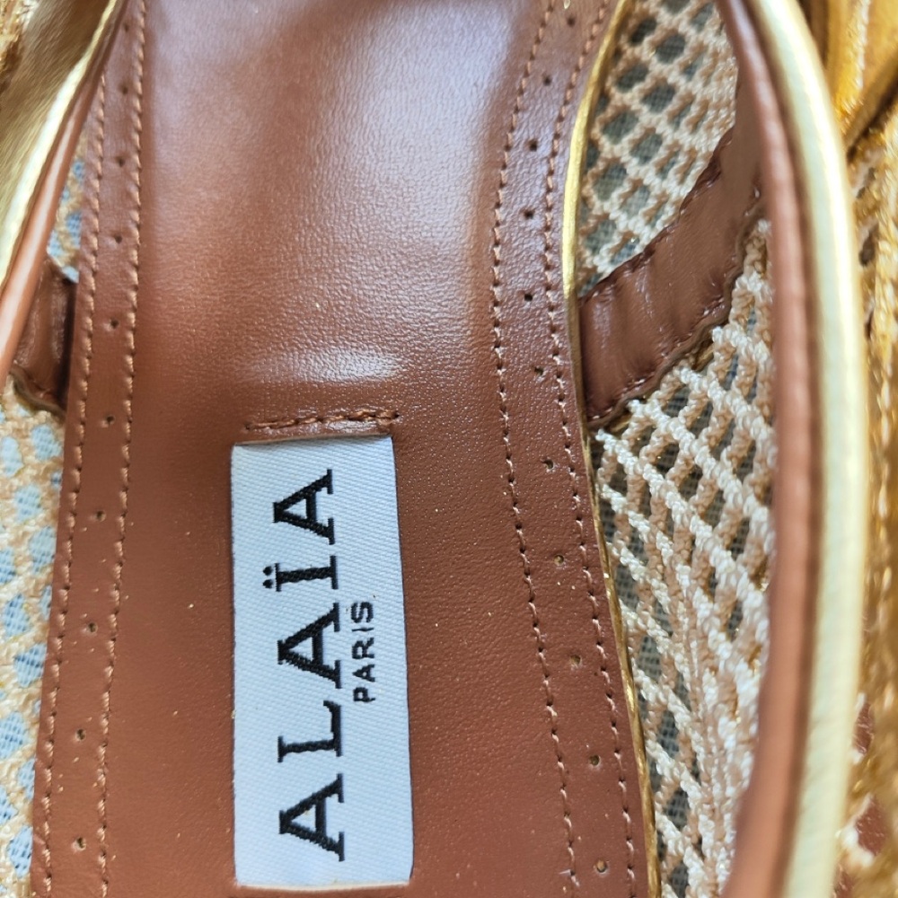 Alaia Gold Mesh Mary Jane Flats with Buckle Strap - Picture 5 of 6